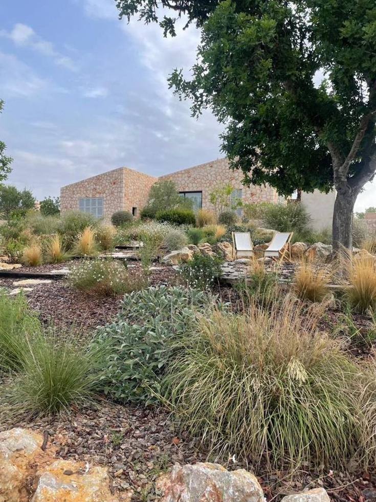 Jardines de obra nueva